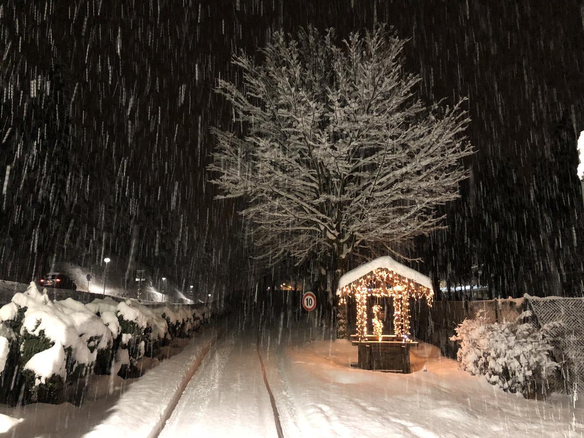 Th Borca Di Cadore - Park Hotel Des Dolomites 외부 사진