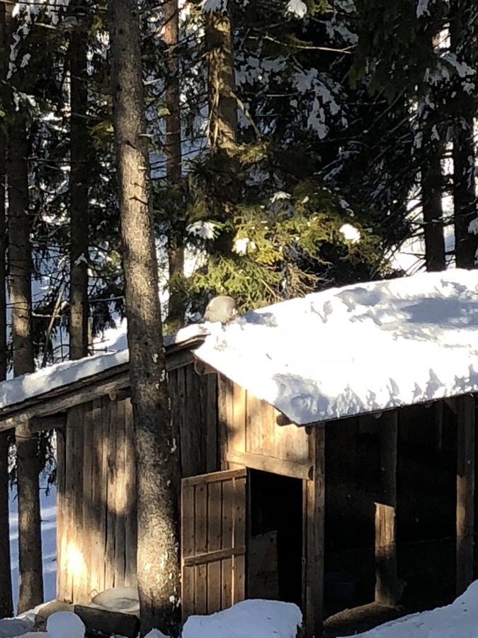 Th Borca Di Cadore - Park Hotel Des Dolomites 외부 사진