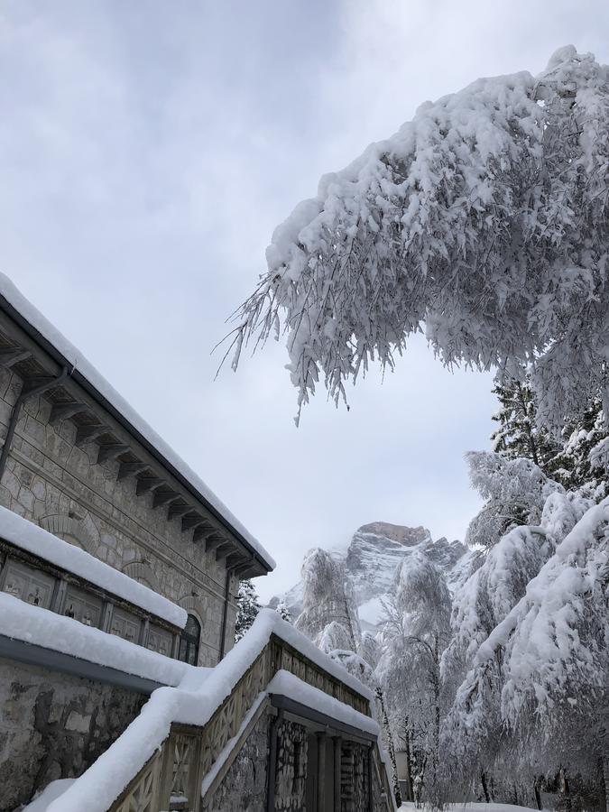 Th Borca Di Cadore - Park Hotel Des Dolomites 외부 사진